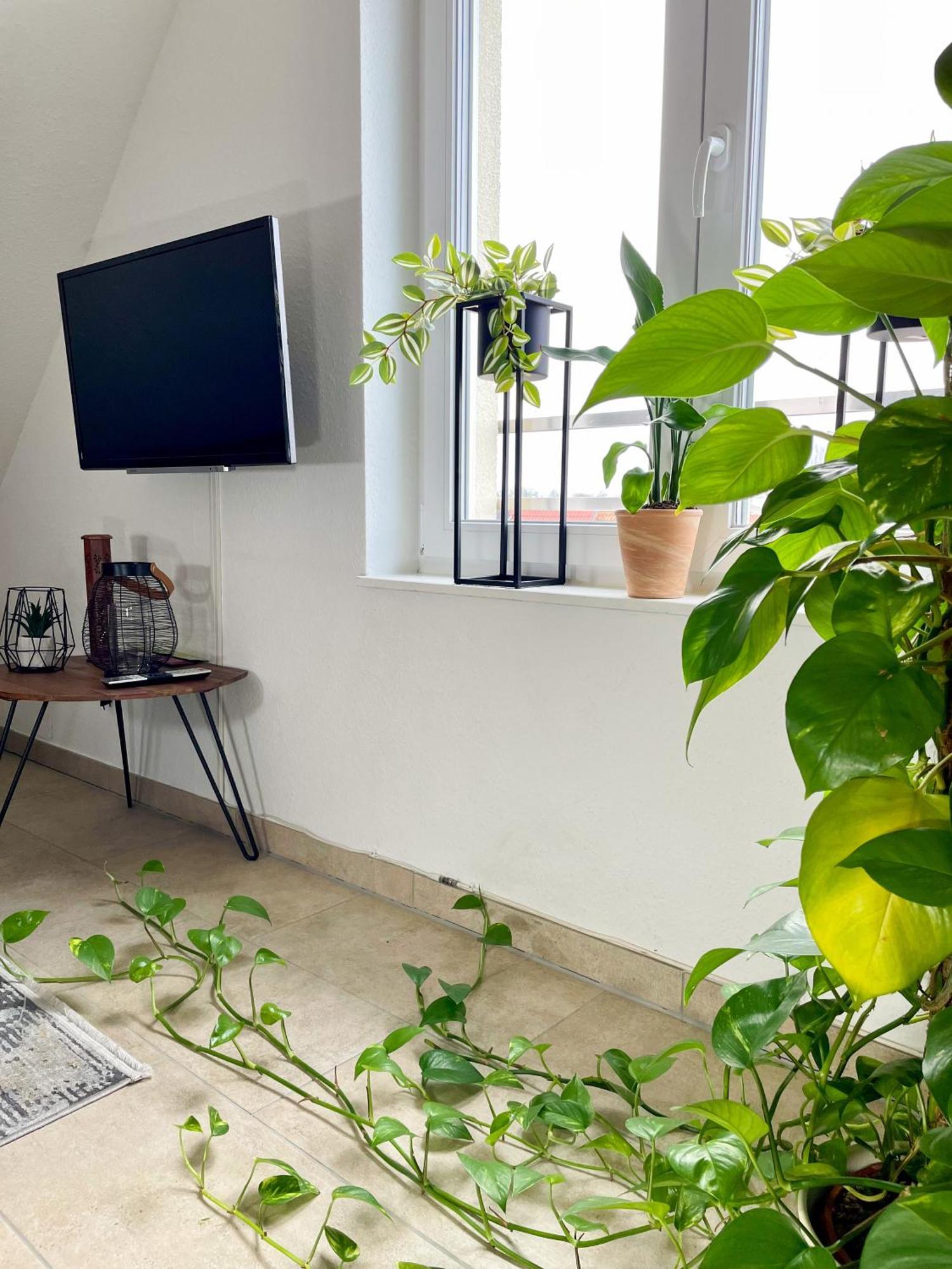 Ahaus: Stadtoase Mit Terrasse & Privater Garage Eksteriør billede